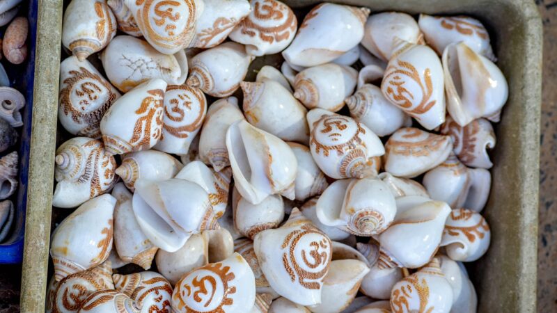 ಊಟಕ್ಕೆ ಕುಳಿತಾಗ ಚಿತ್ರಾಹುತಿ ನೀಡುವ ಕ್ರಮ ಸ್ತೋತ್ರ ಸಹಿತ